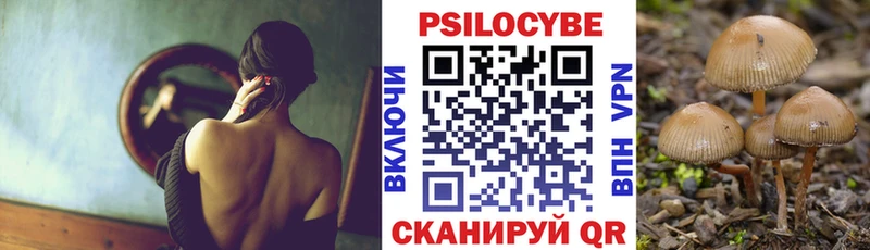 Галлюциногенные грибы Magic Shrooms  купить  сайты  Болохово 